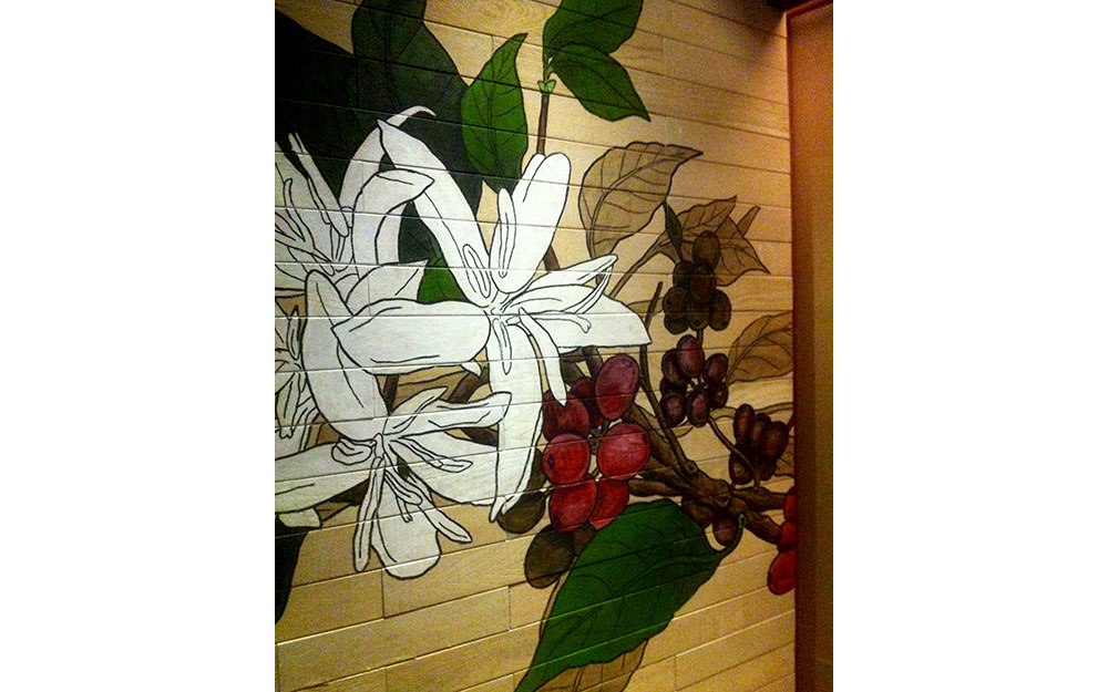 STARBUCKS AKMERKEZ
