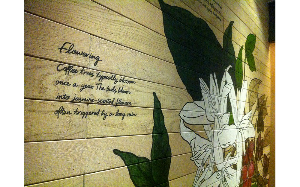 STARBUCKS AKMERKEZ
