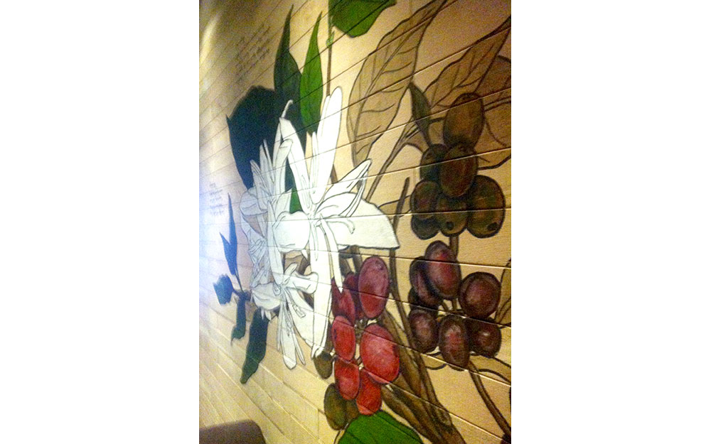 STARBUCKS AKMERKEZ