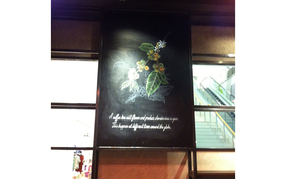 STARBUCKS BİLKENT