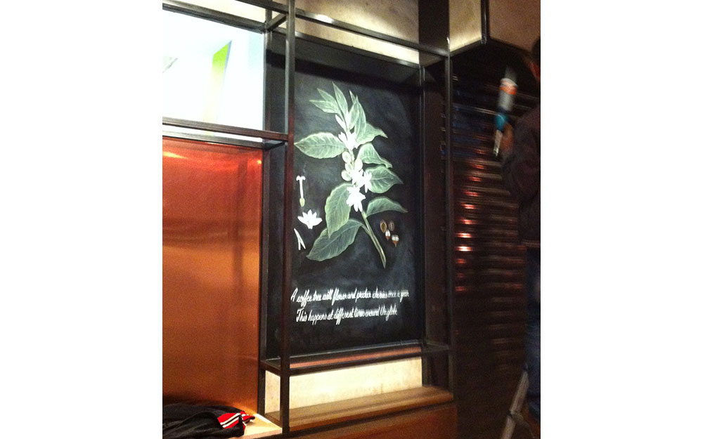STARBUCKS BİLKENT