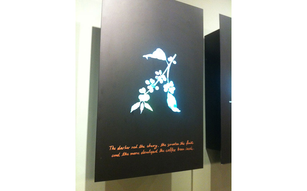 STARBUCKS CEVAHİR