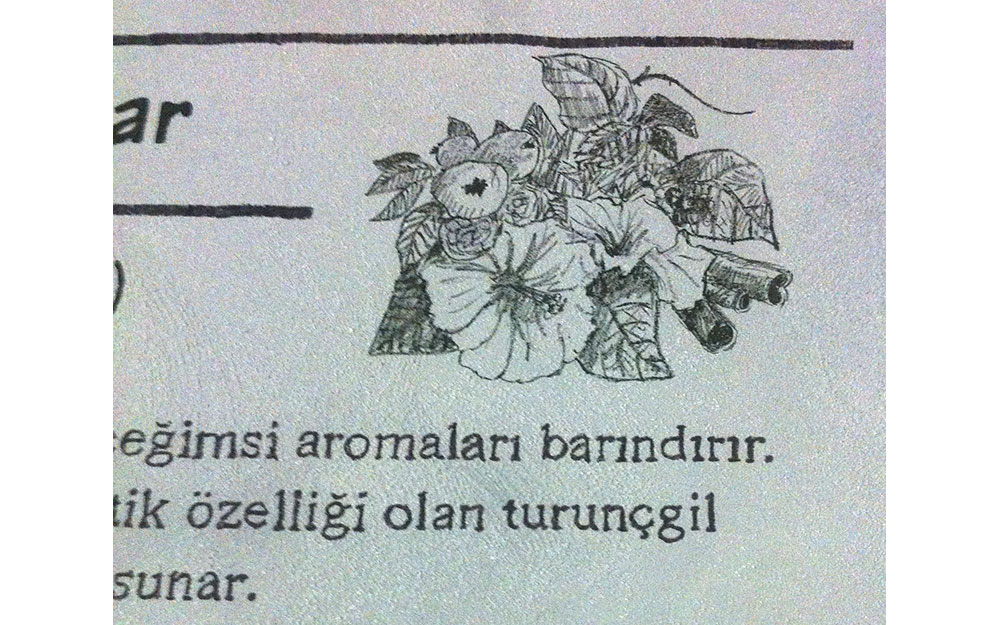 STARBUCKS GAZİANTEP PRIME MALL