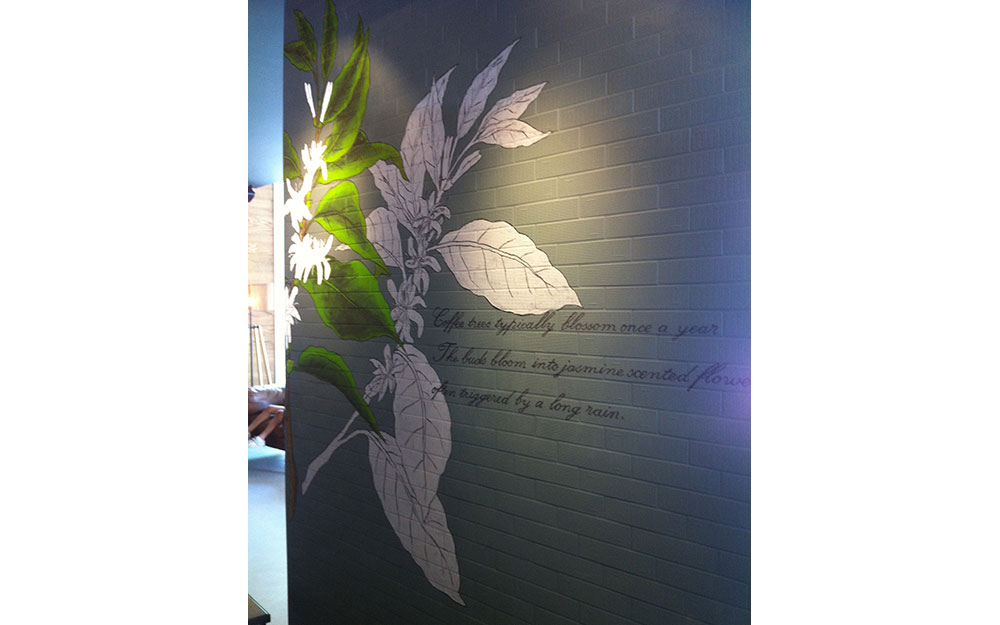 STARBUCKS İSKELE