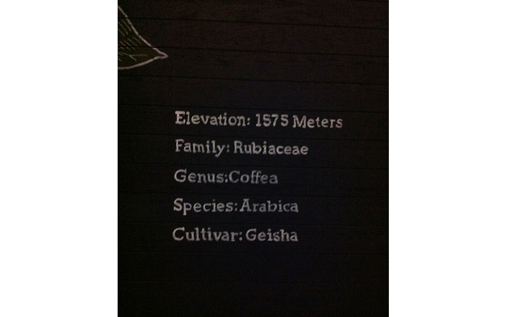 STARBUCKS MASLAK ACIBADEM HASTANESİ