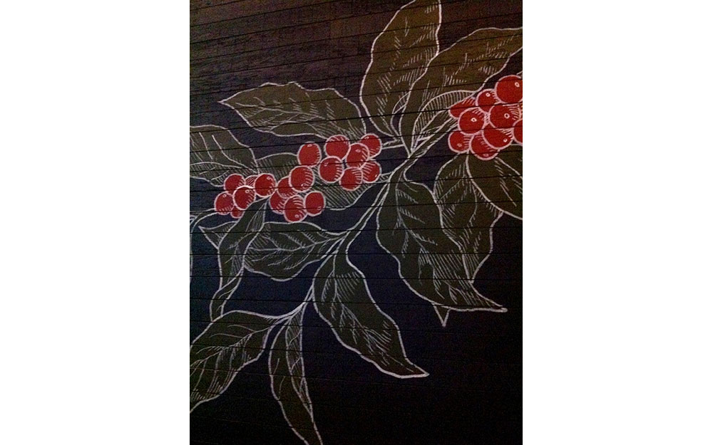 STARBUCKS MASLAK ACIBADEM HASTANESİ