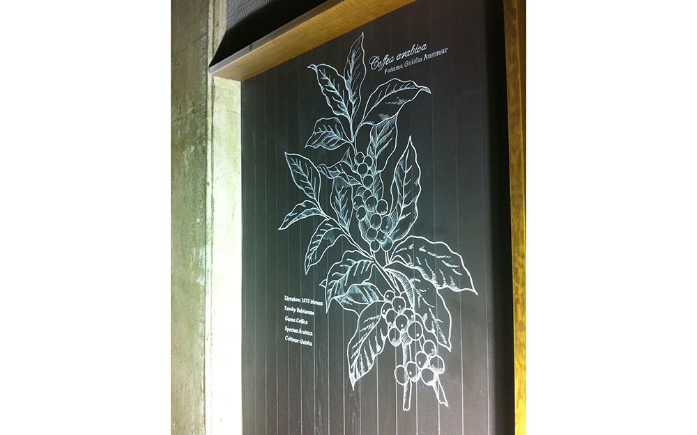 STARBUCKS ÖZDİLEK AVM