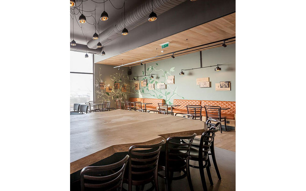 STARBUCKS ŞEKERPINAR
