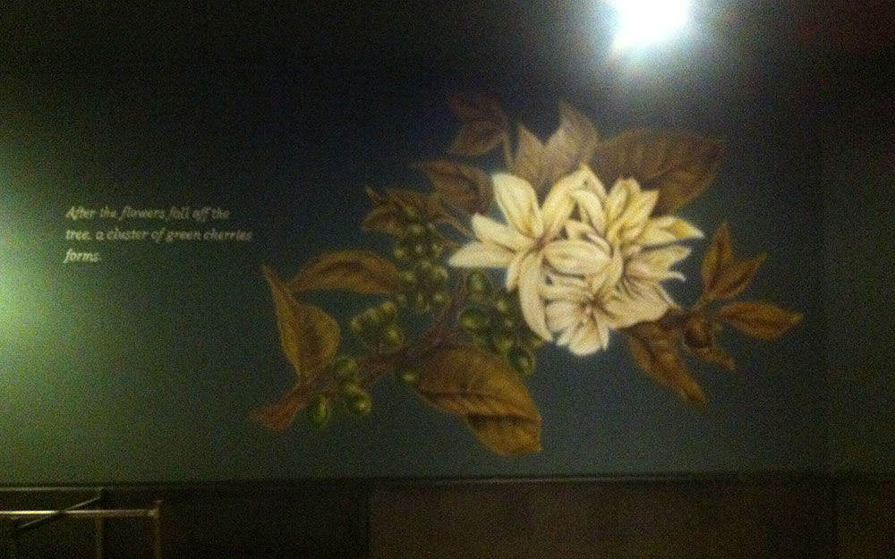 STARBUCKS TAKSİM